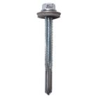 Tek Screw 5.5x25 Self Tap Self Drill Screw+16mm Wash Pk 100